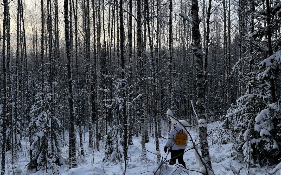 Kolme asiaa, jotka vasta yrittäjyys opetti